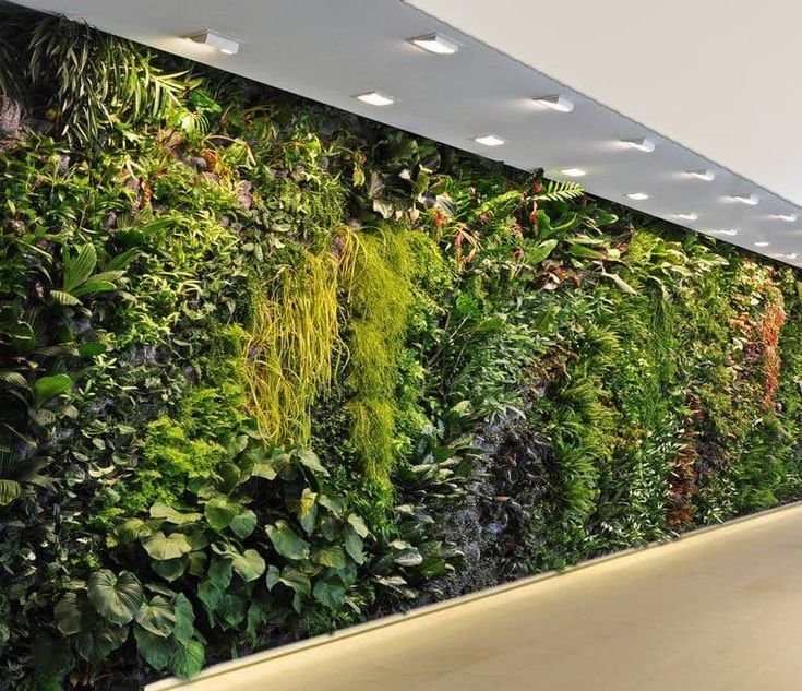 4176a2459841296c8053d9c724f0f1e0