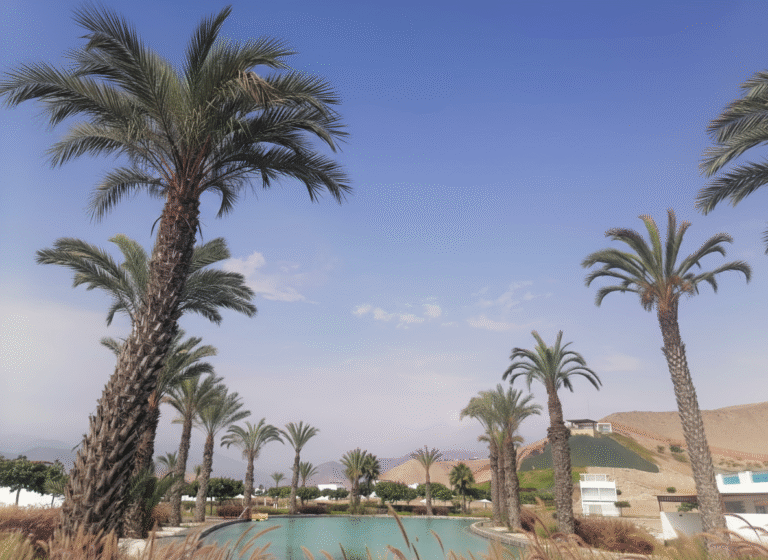 50dcc3ef 9749 4cd3 913b c30f29253645