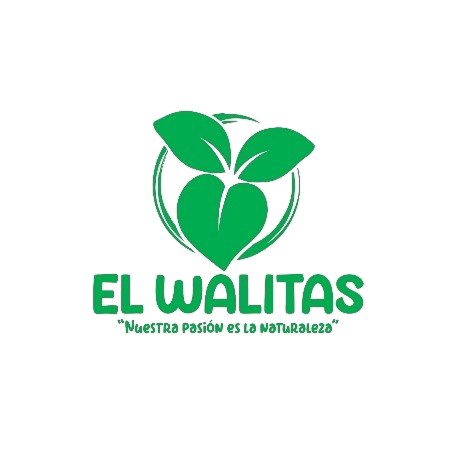 logo 2 removebg preview