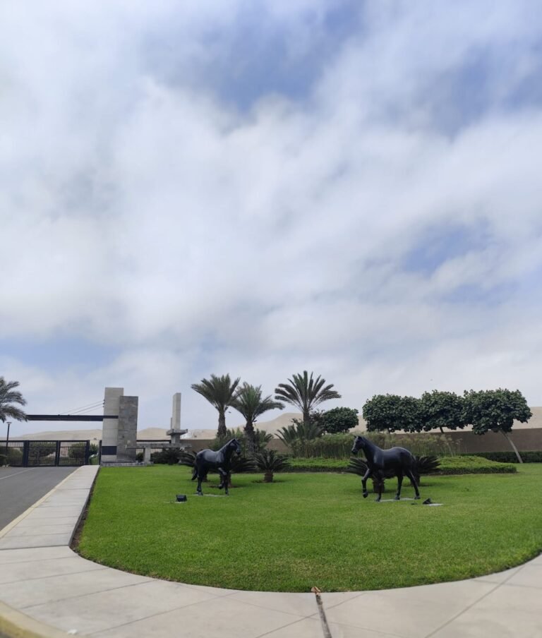 whatsapp image 2025 09 10 at 7.27.25 pm