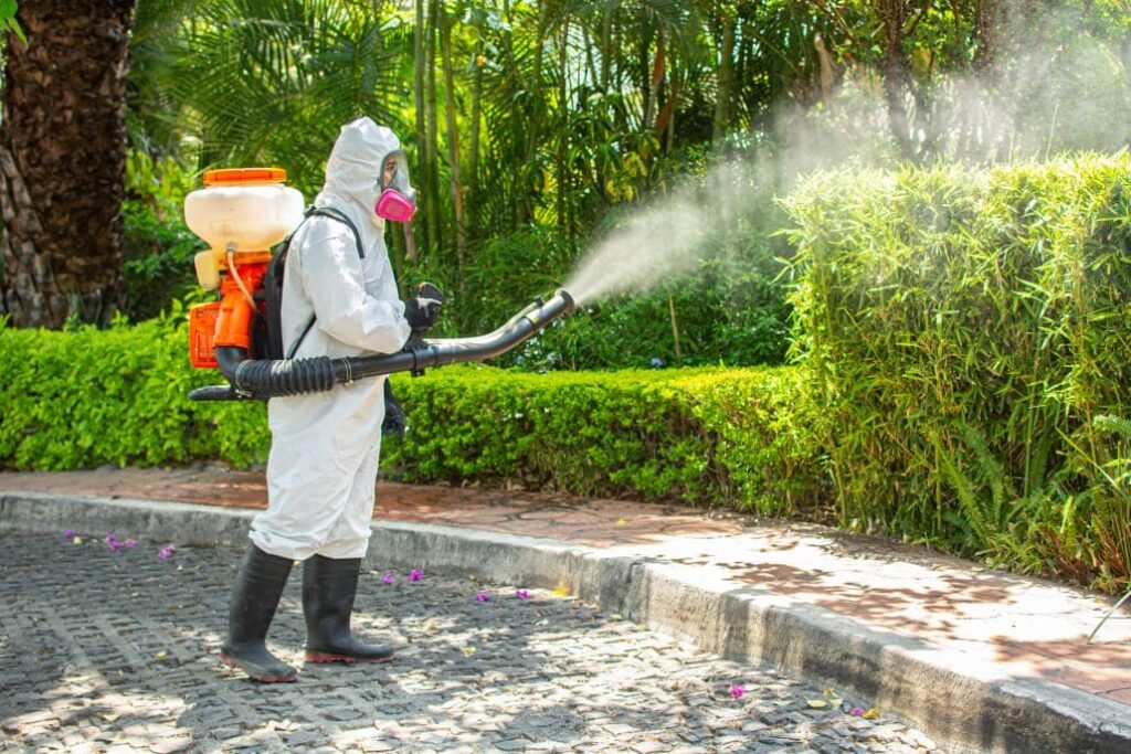 fumigacion insectos