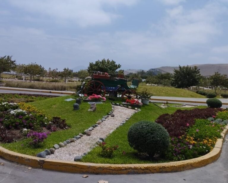 whatsapp image 2025 10 27 at 1.07.12 pm (1)