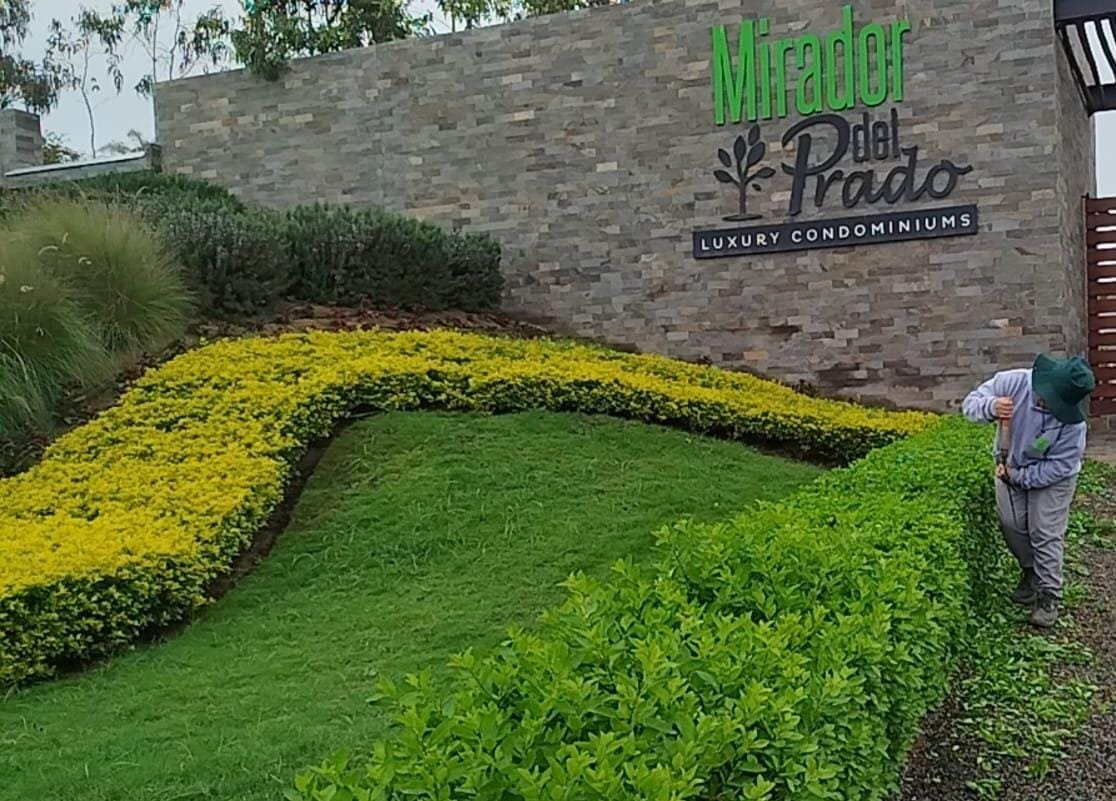 whatsapp image 2025 10 27 at 3.36.08 pm