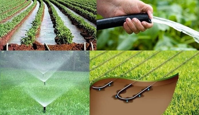 e04c380a45a93706ceee9df58cf766c6