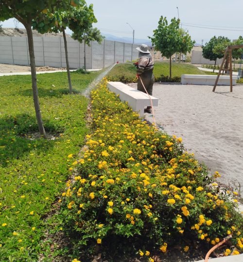 imagen de whatsapp 2025 08 28 a las 17.02.13 c2e2a984