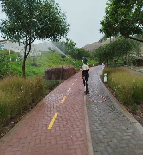 imagen de whatsapp 2025 09 11 a las 09.10.37 49212eb4