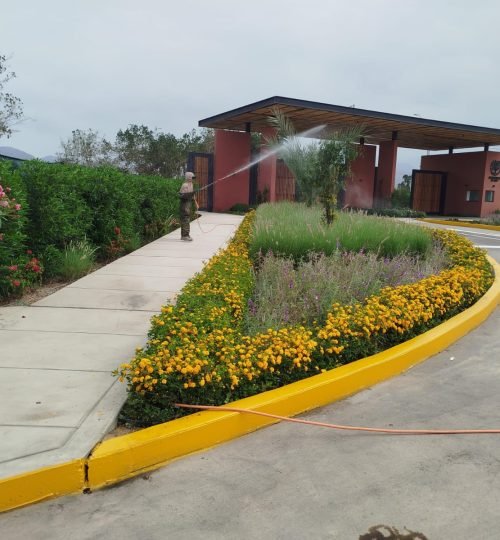 imagen de whatsapp 2025 09 11 a las 09.10.37 9d15b5bc