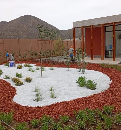 whatsapp image 2025 09 05 at 6.33.06 pm