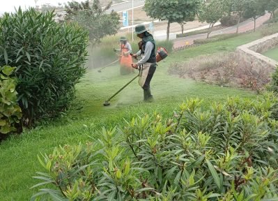 whatsapp image 2025 09 06 at 12.14.32 am