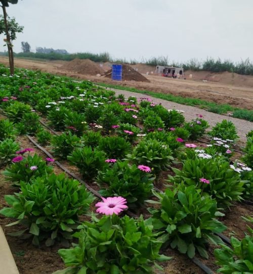 whatsapp image 2025 09 10 at 5.54.38 pm