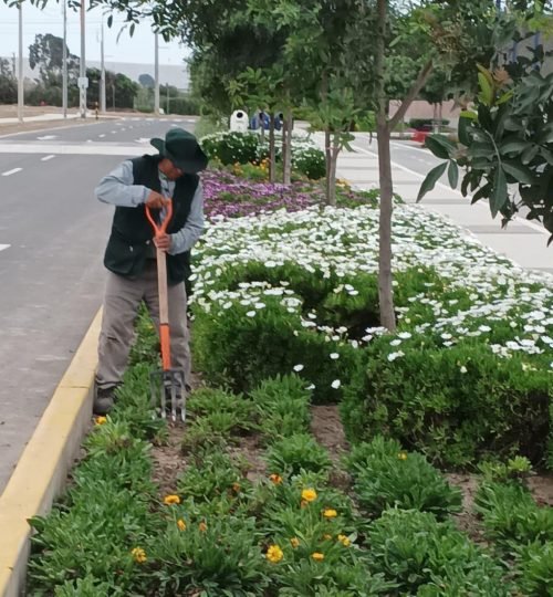 whatsapp image 2025 10 27 at 4.13.15 pm (1)