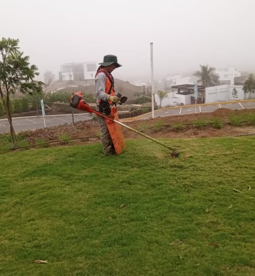 whatsapp image 2025 10 27 at 4.18.07 pm (1)