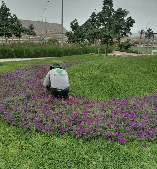 whatsapp image 2025 10 27 at 4.18.07 pm