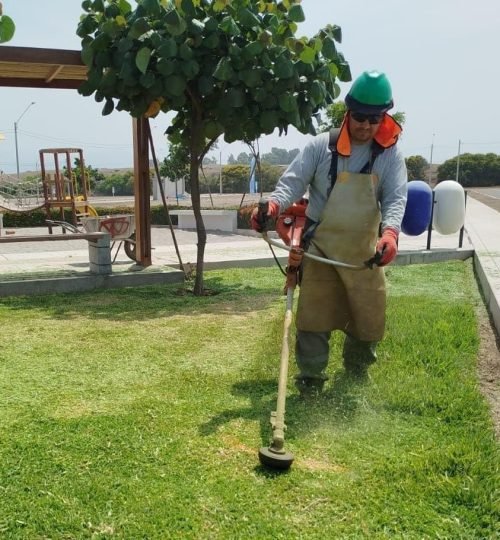 whatsapp image 2025 10 27 at 4.19.56 pm