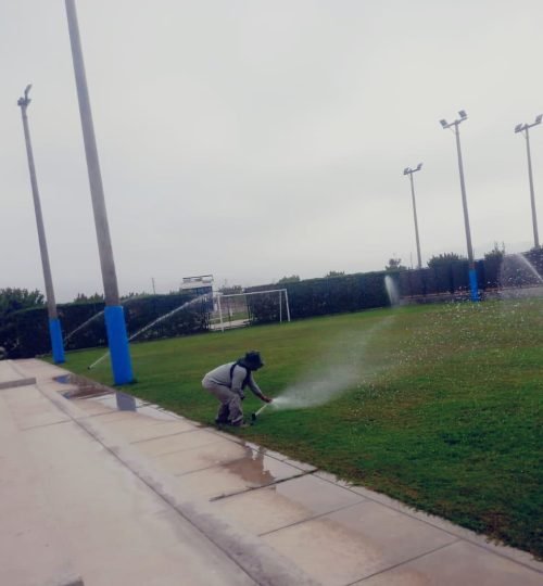 whatsapp image 2025 10 27 at 4.21.40 pm