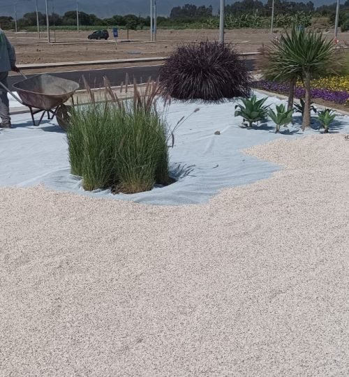 whatsapp image 2025 10 27 at 4.57.57 pm